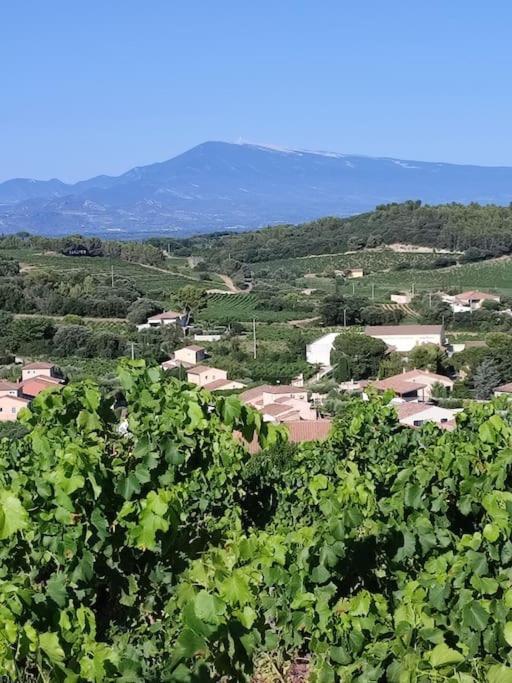Maison De Village Chateauneuf-du-Pape Luaran gambar